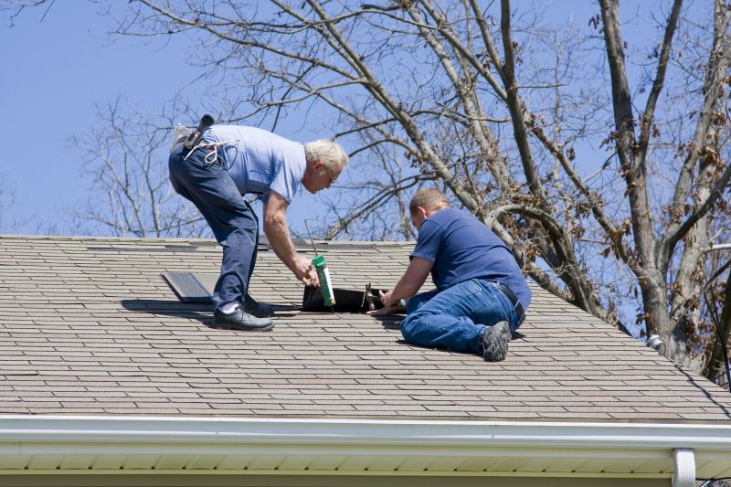 Increase Your Shingle Repair Business with an AI Driven, Targeted Website