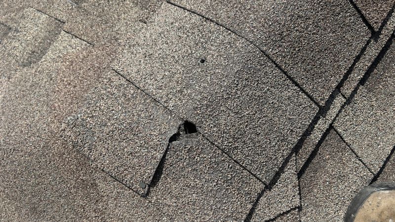 Fall Shingle Repairs