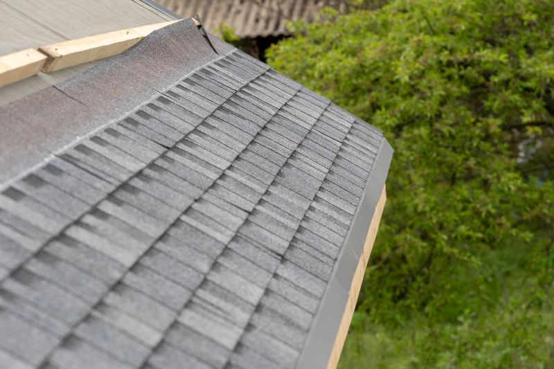 Damaged Shingles