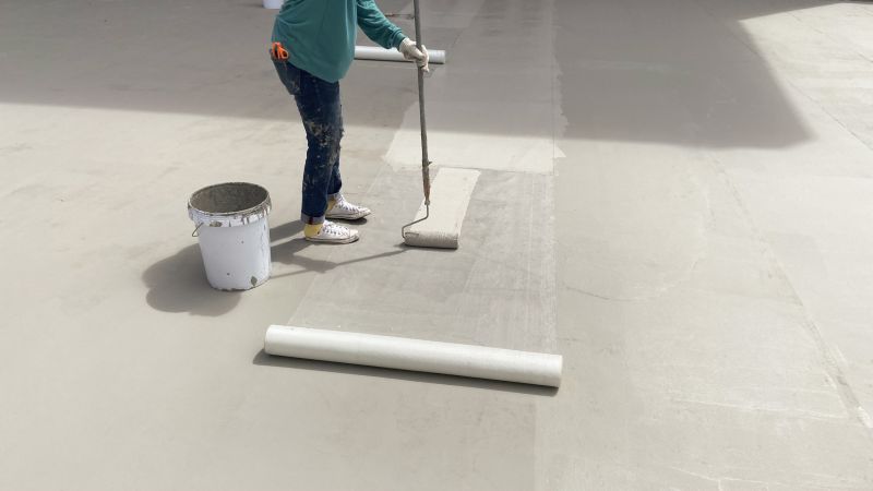 Tpo Roof Coating Service